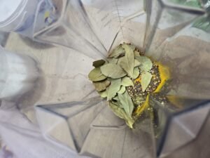 Especiarias do tempero baiano dentro do liquidificador prontas para moer